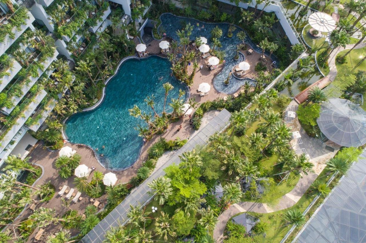 Thiết kế bể bơi